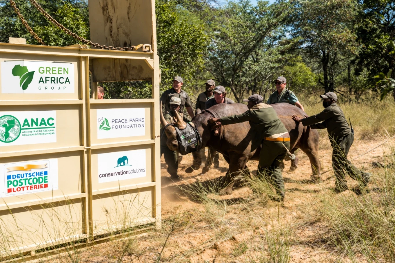 Transfrontier Conservation Project, Gaza province, Moçambique.