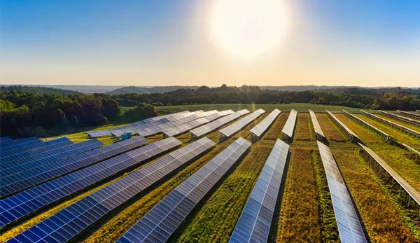 Agro-Industry and solar farm environmental authorisation, Grabouw, Western Cape.